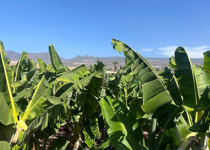 Zama Bella Vista شقة